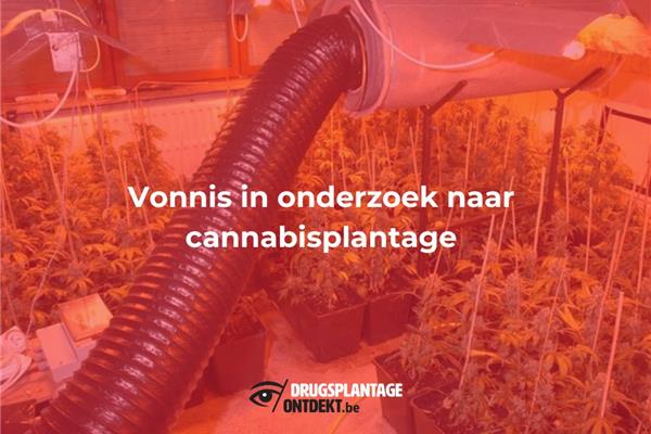 Wilrijk - Vonnis in onderzoek naar cannabisplantage